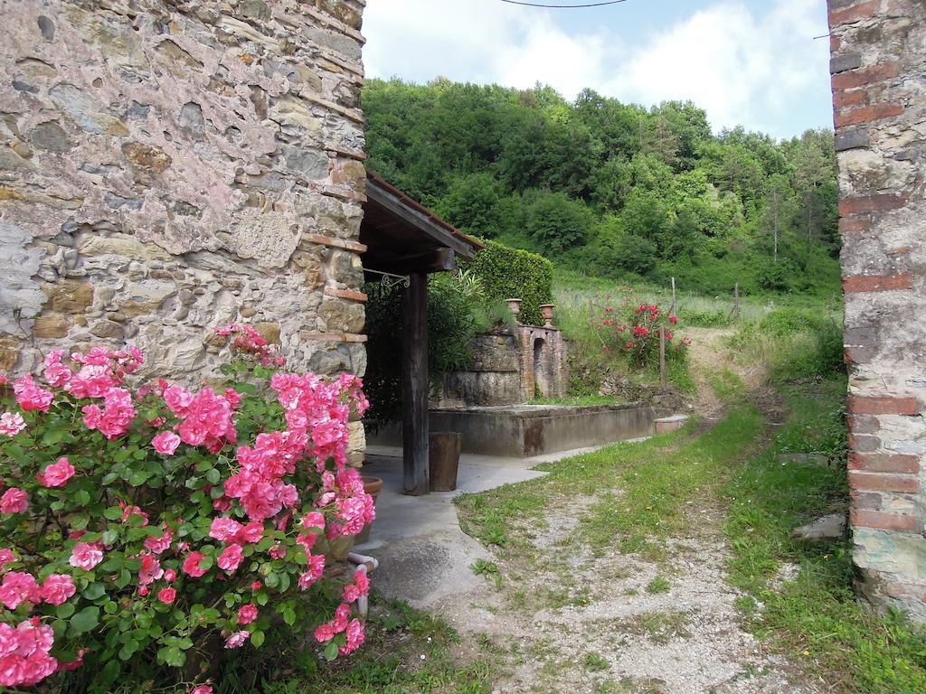 Agriturismo Le Murelle Lucca Exterior foto