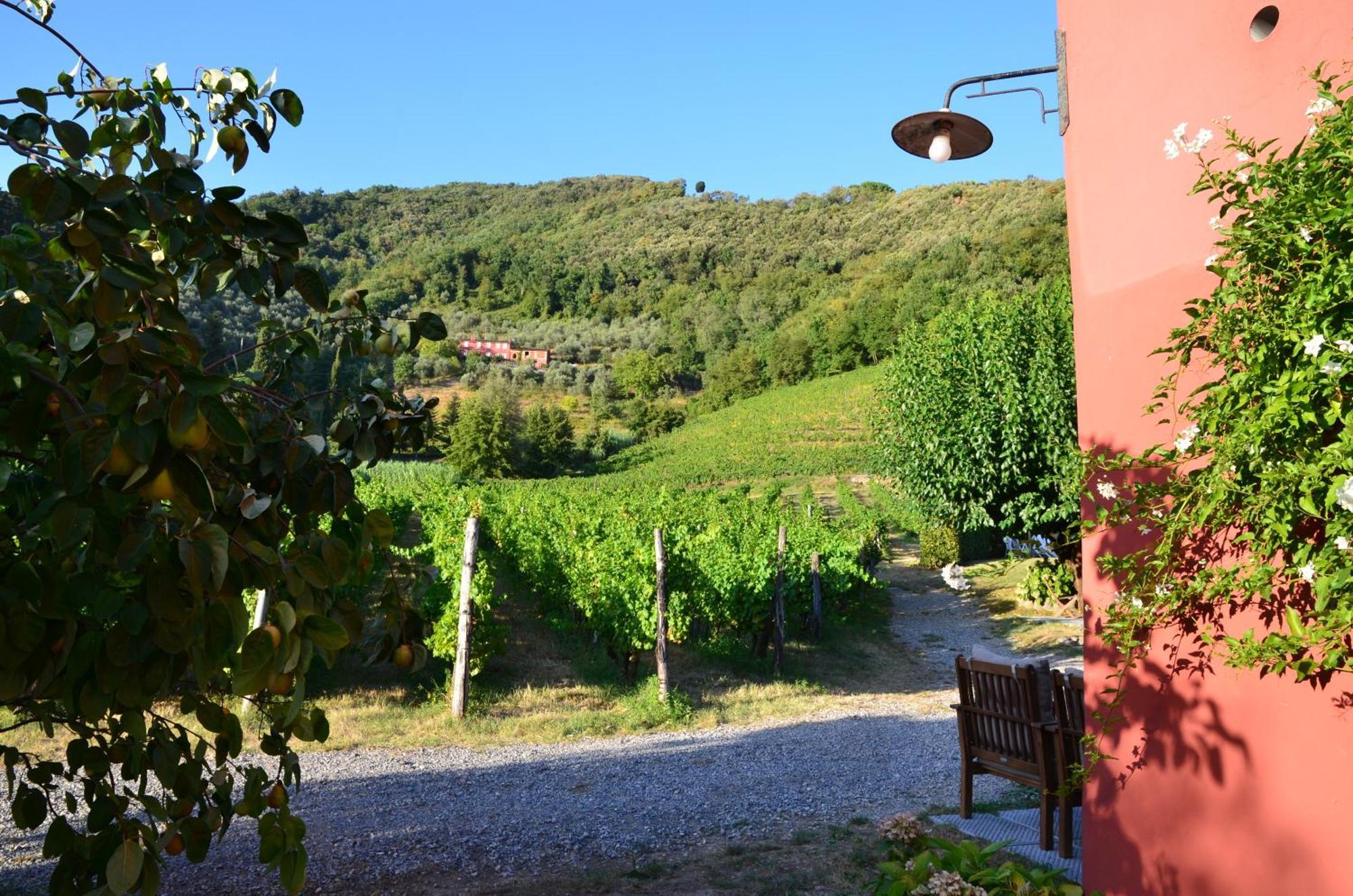 Agriturismo Le Murelle Lucca Exterior foto